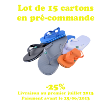 Tongs - Lot de 15 cartons en precommande -25%